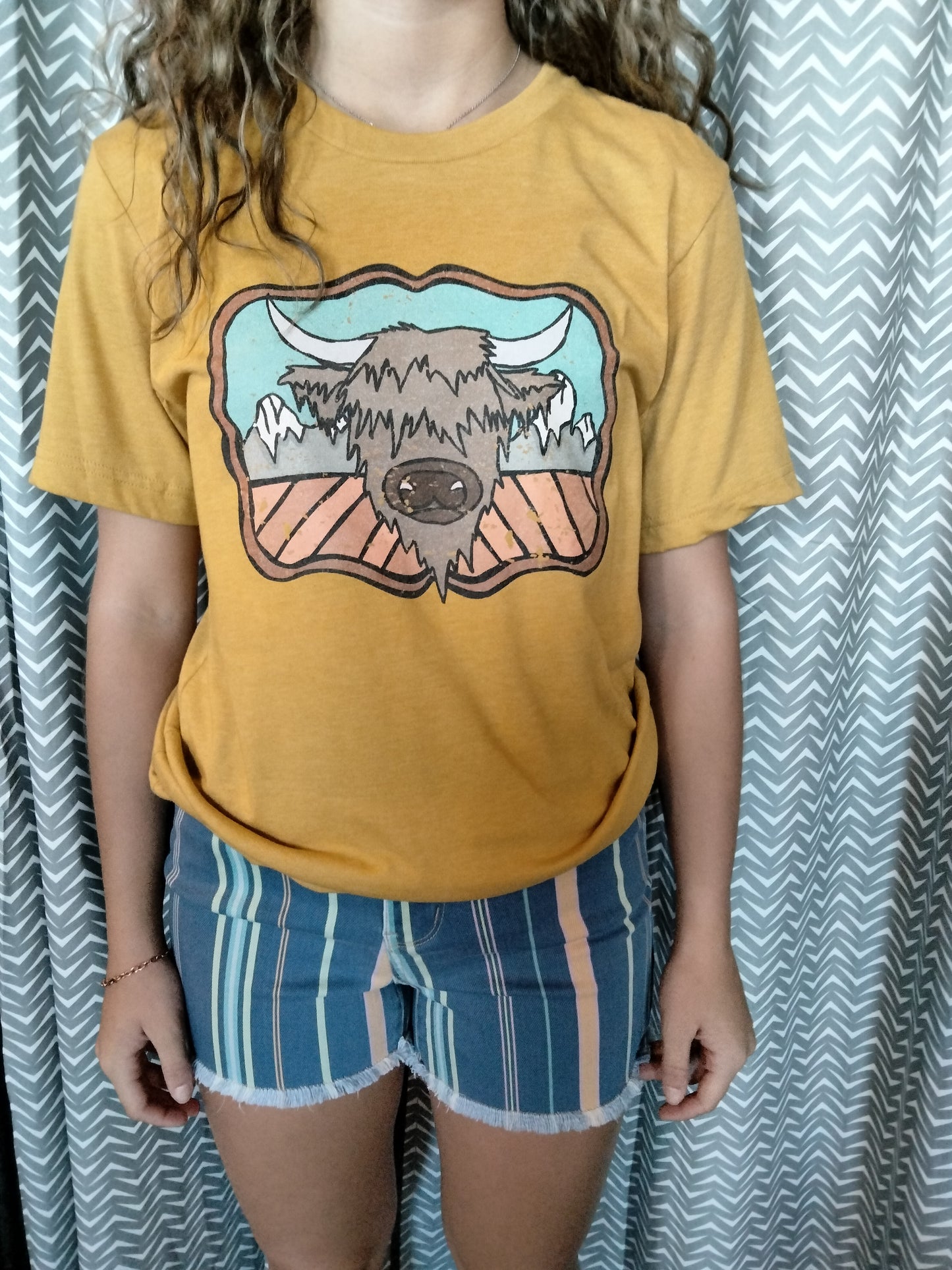 Judy Blue Striped Shorts