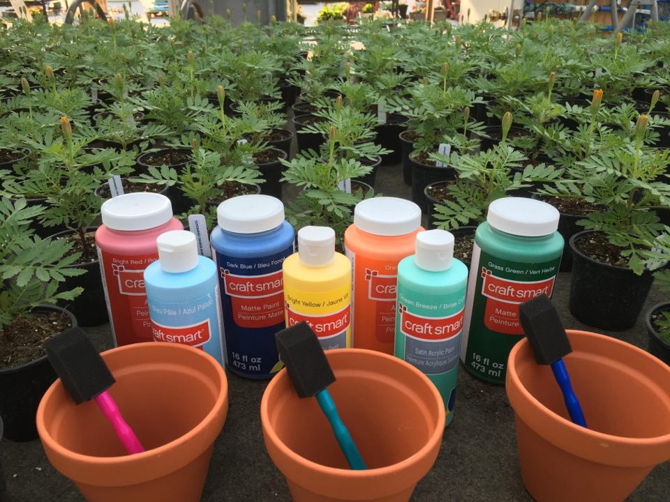 Paint a Pot Plant a Flower in Memory for Paulette Zimmerman