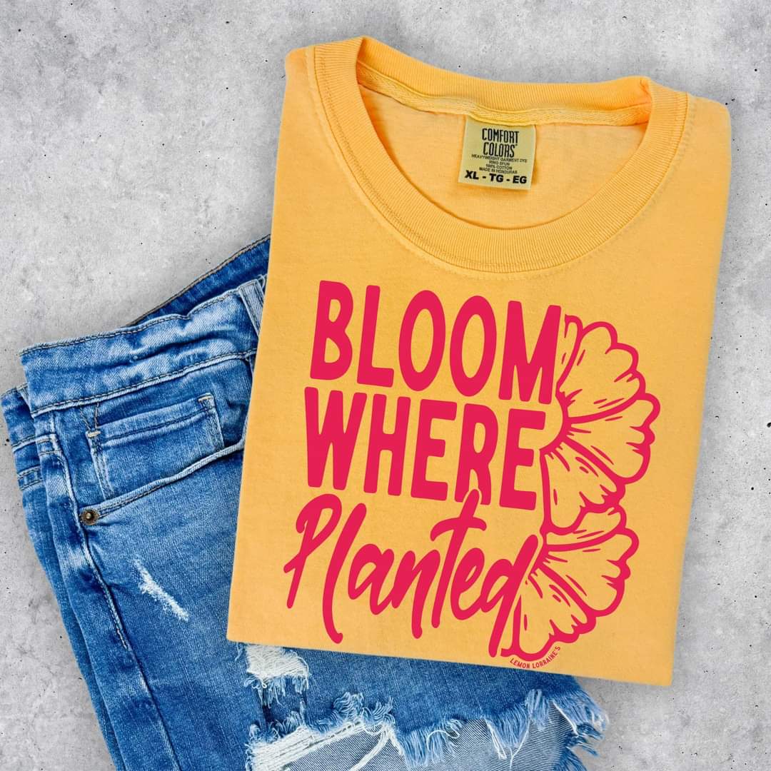 Bloom Where Planted Graphic Tee